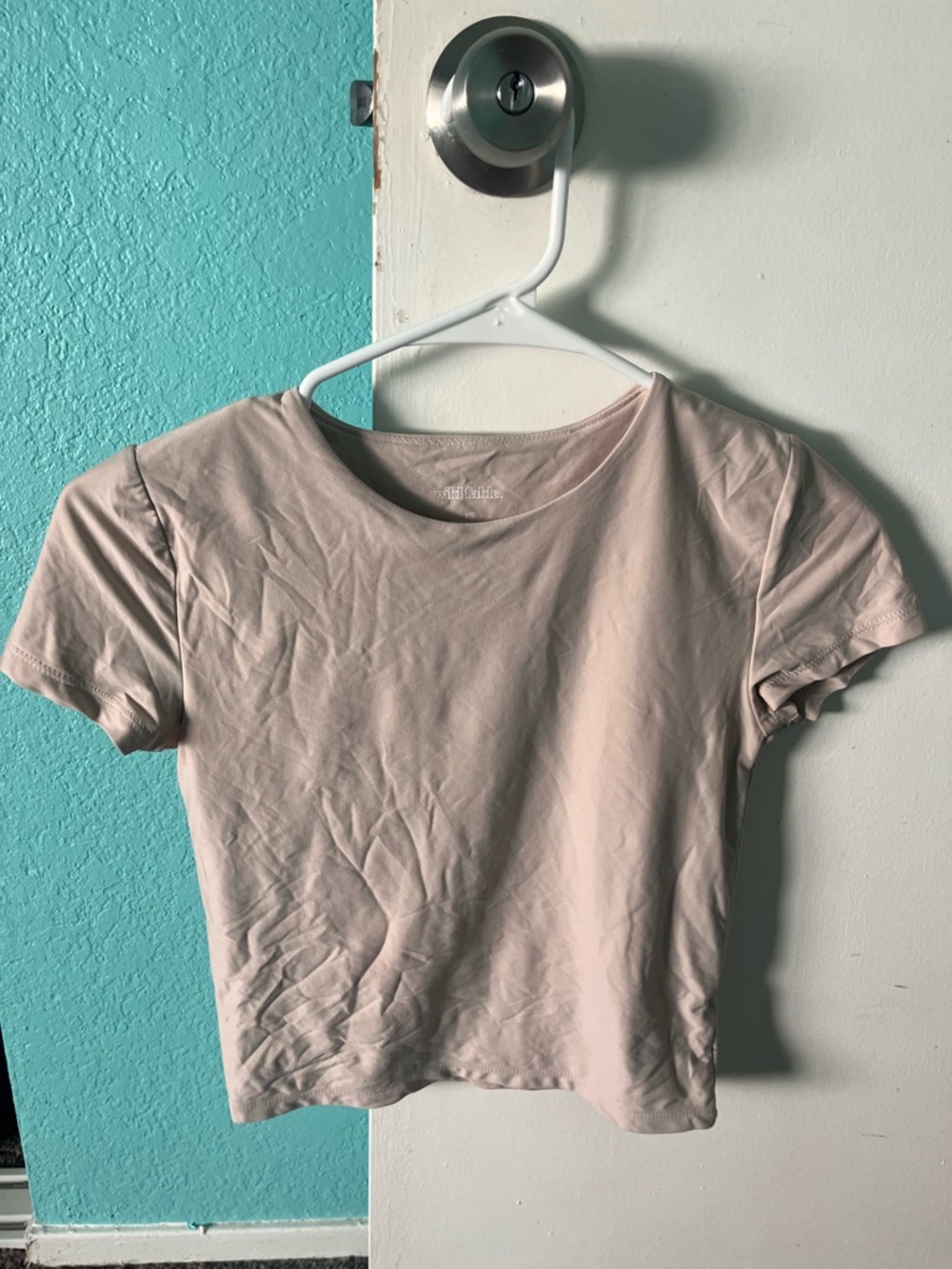 wild fable Light Blush Crop Tee